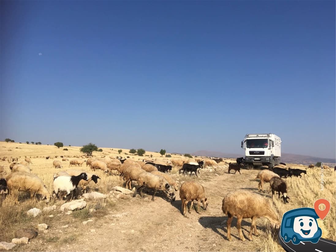 Vahşi Kamp Noktası - Selçuklu, Konya, foto 1
