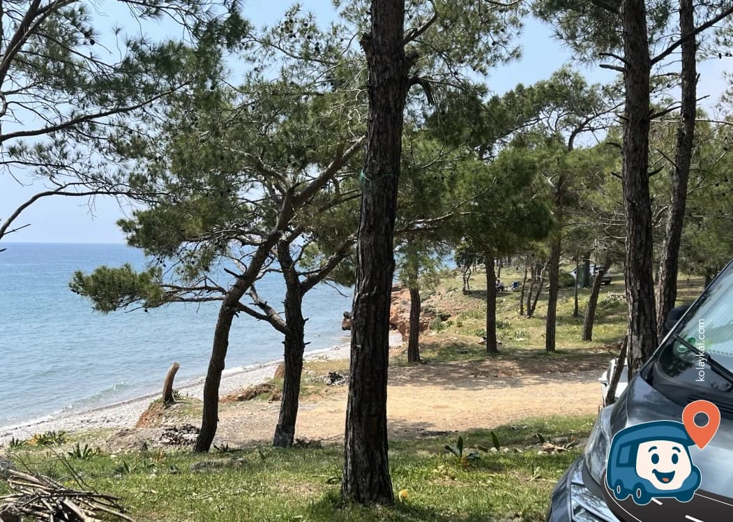 Deniz Kenarında Ağaçların Altı - Silifke, Mersin, foto 5