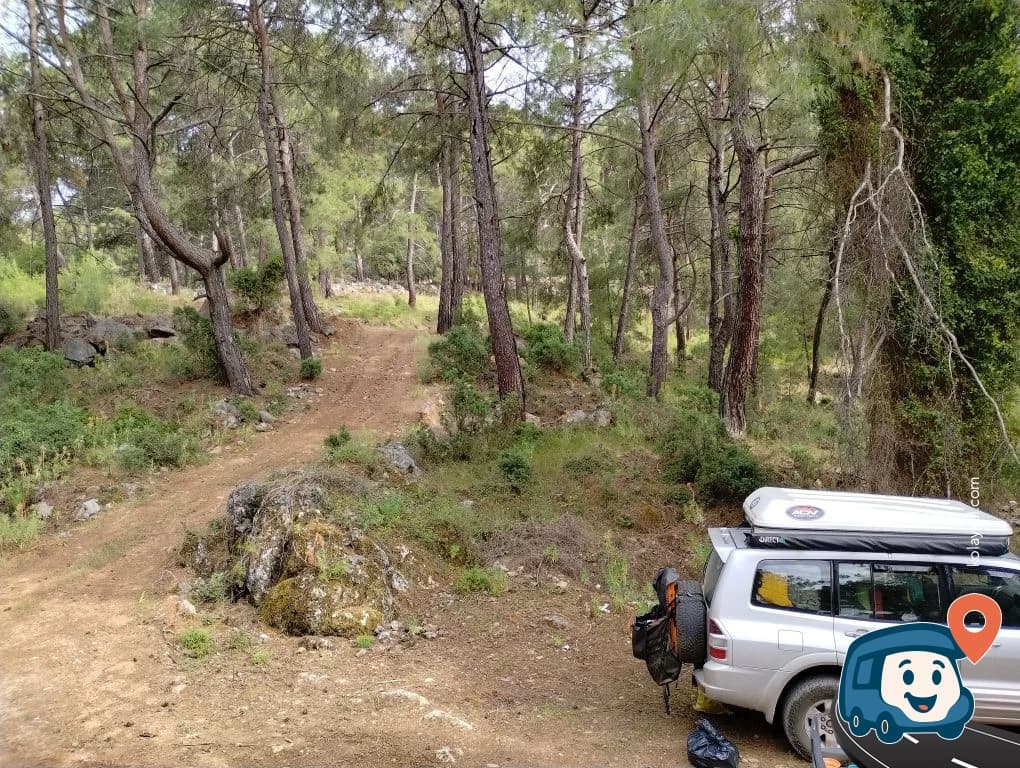 İztuzu Yakını Orman Açıklığı Kamp Alanı - Ortaca, Muğla, foto 3