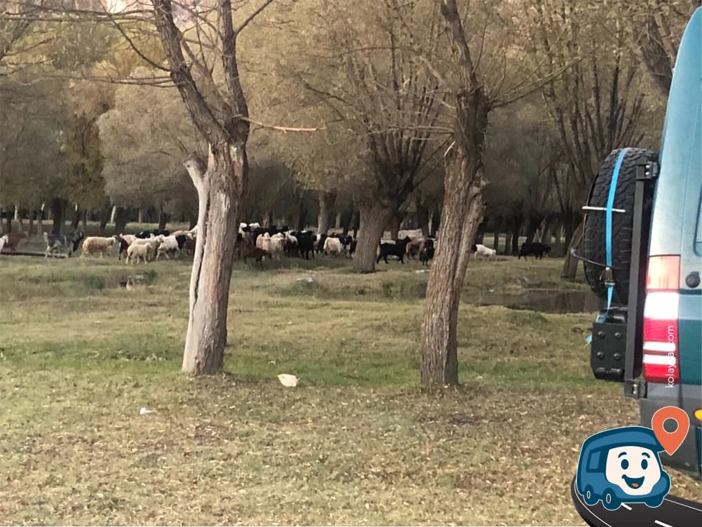 Doğantarla Koyu Yolu - Gülağaç, Aksaray, foto 3