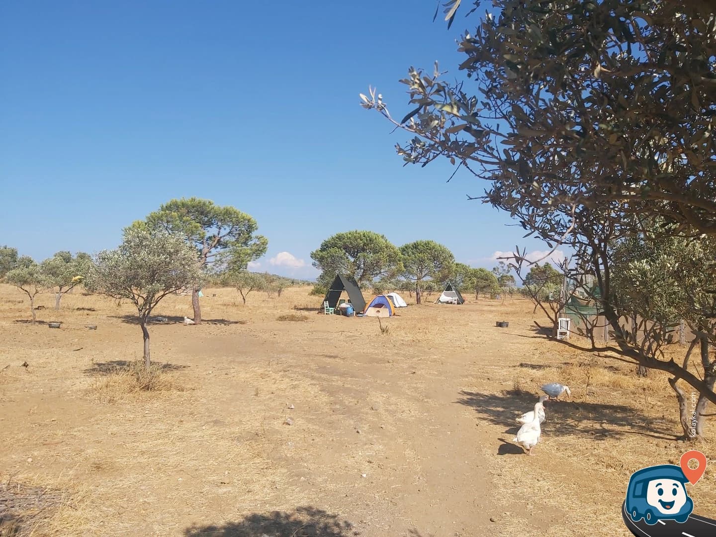 Trata Ayvalık - Balıkesir, foto 1