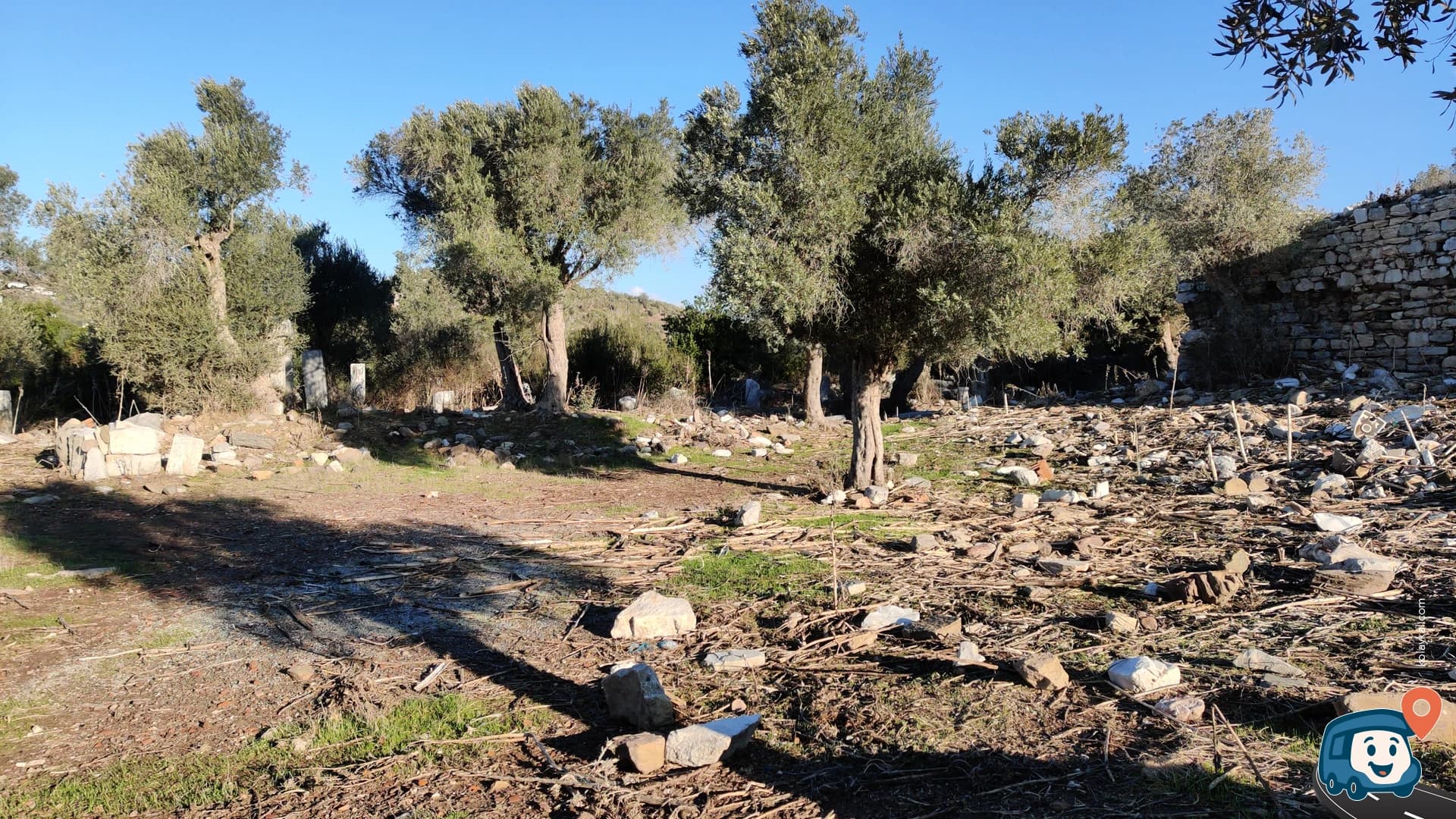 Bargylia Antik Kenti Vahşi Kamp Alanı - Milas, Muğla, foto 2