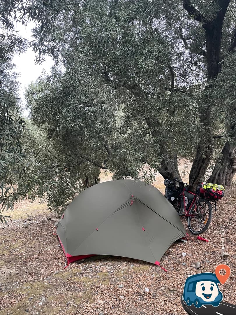 Zeytin Ağaçlarının Altı - Bandırma, Balıkesir, foto 3