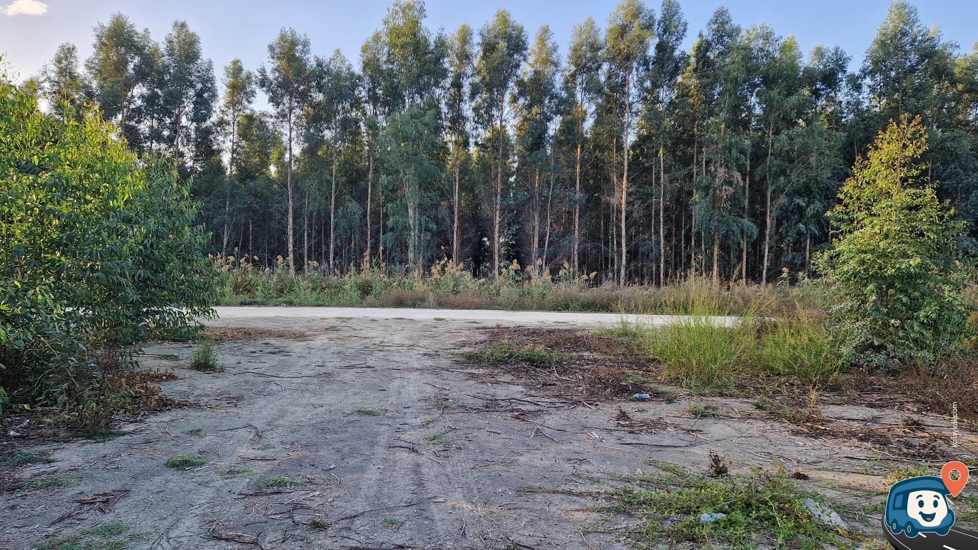 Orman İçi Kamp Yeri - Tarsus, Mersin, foto 2