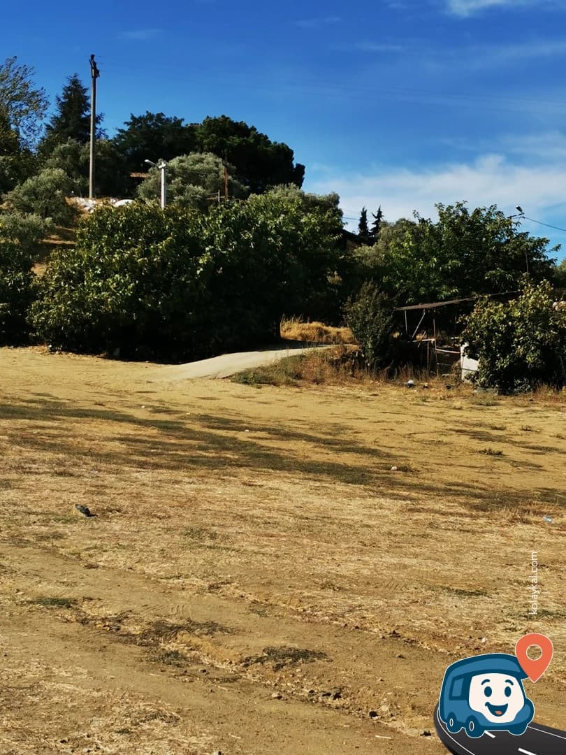 Gayriresmi Kamp Alanı - Selçuk, İzmir, foto 1
