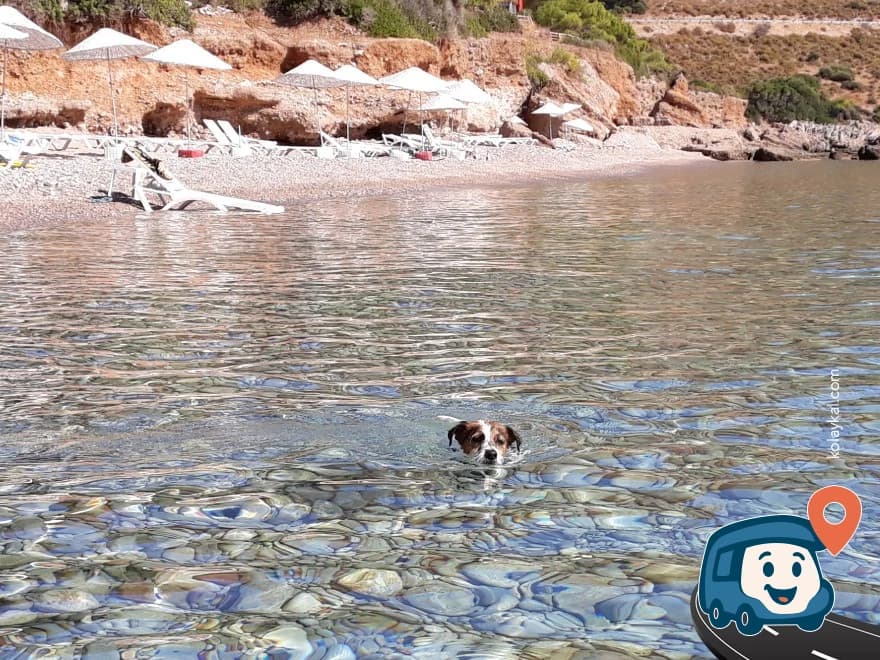 Akçabük Camping - Datça, Muğla, foto 1