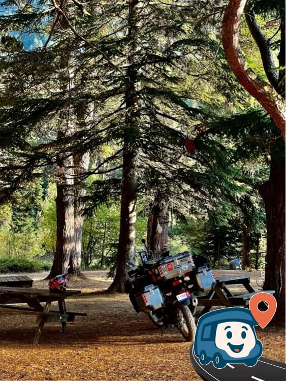 Abant Gölü Yakını Kamp Alanı - Bolu Merkez, Bolu, foto 3