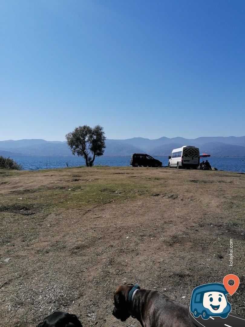 Göl Kenarı Kamp Noktası - Serdivan, Sakarya, foto 5