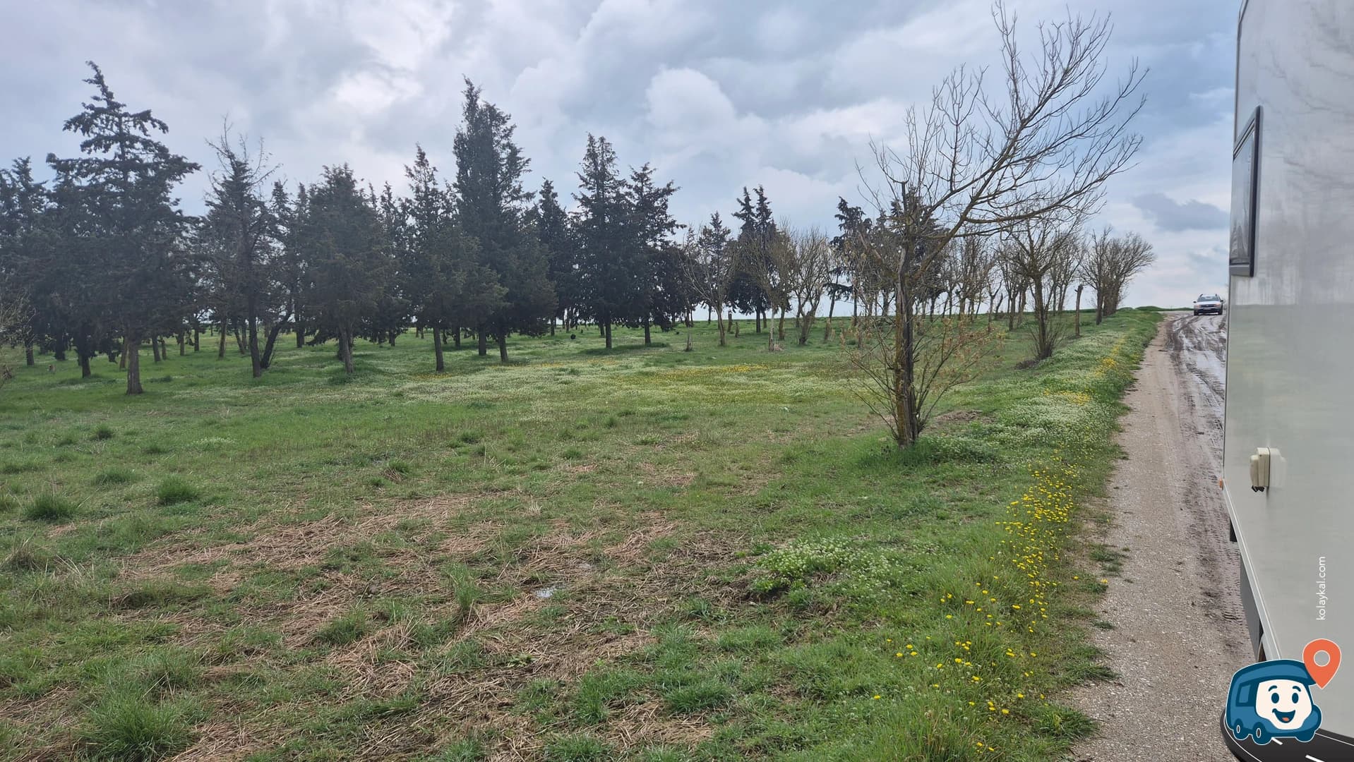 Çim Piknik Alanı - Havsa, Edirne, foto 1
