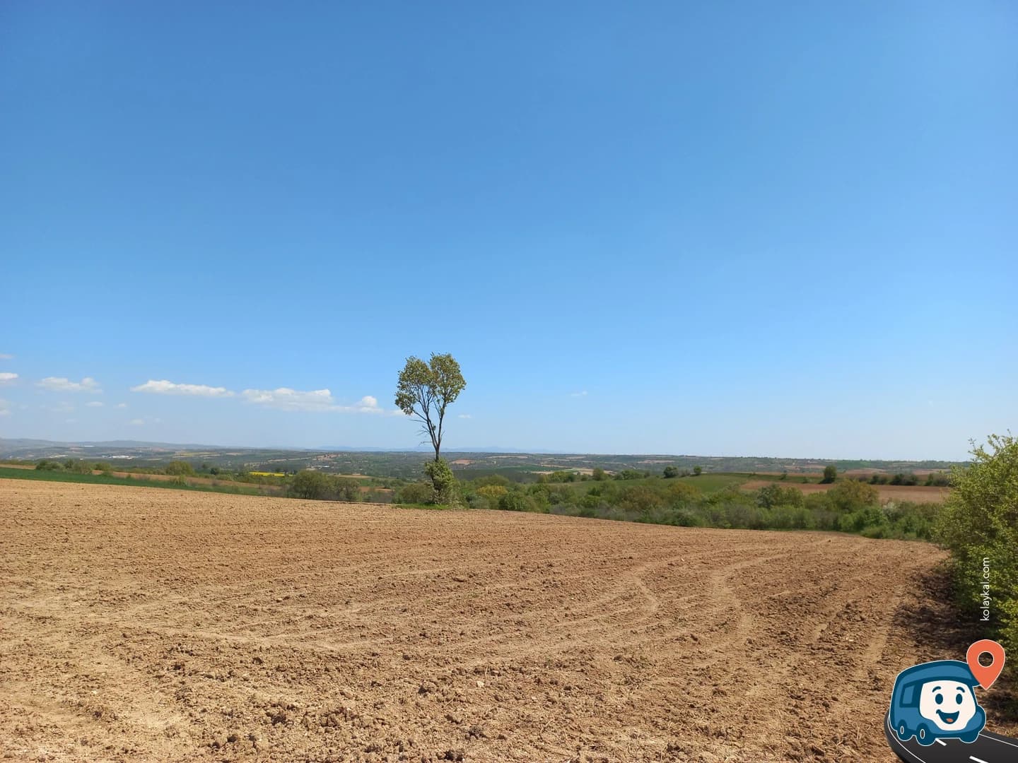 Tarla - Kırklareli Merkez, Kırklareli, foto 3