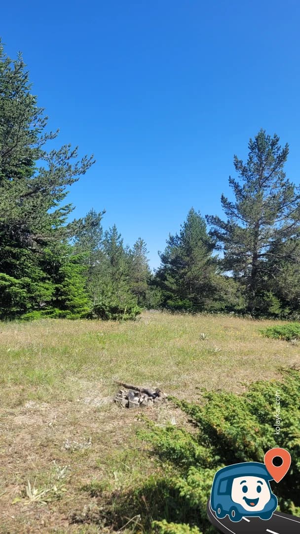Orman Yolu Vahşi Kamp Alanı - Araç, Kastamonu, foto 1