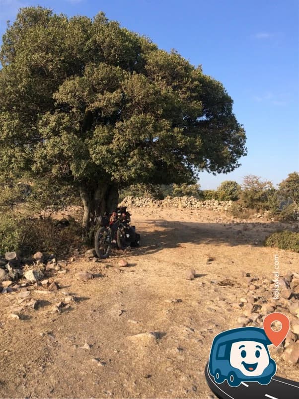 Ağaç Altı Vahşi Kamp Alanı - Bergama, İzmir, foto 1