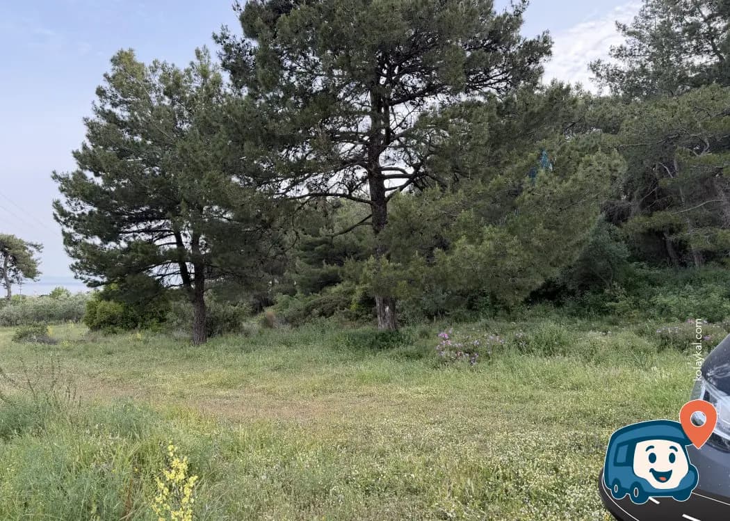 Dilek Yarımadası Kamp ve Karavan Alanı - Kuşadası, Aydın, foto 1