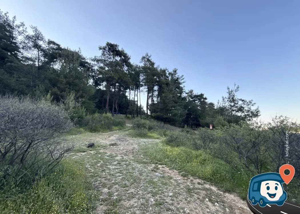 Pamucak Doğal Park Alanı - Menderes, İzmir, foto 2