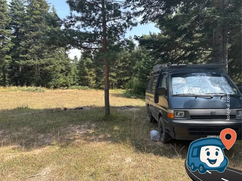 Orman Kamp Alanı - Gerede, Bolu, foto 1