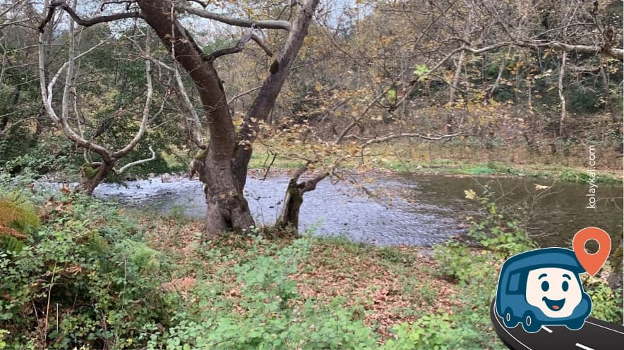 Nehir Kenarı Vahşi Kamp Alanı - Devrek, Zonguldak, foto 6