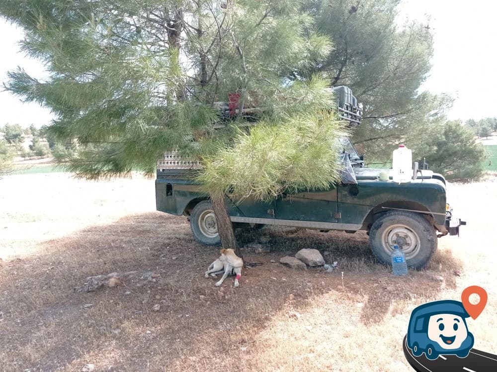 Pine Grove Vahşi Kamp Alanı - Haliliye, Şanlıurfa, foto 13