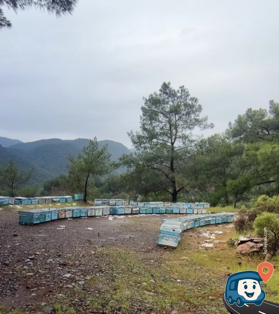 Göl Manzaralı Çıkmaz Yol - Köyceğiz, Muğla, foto 1