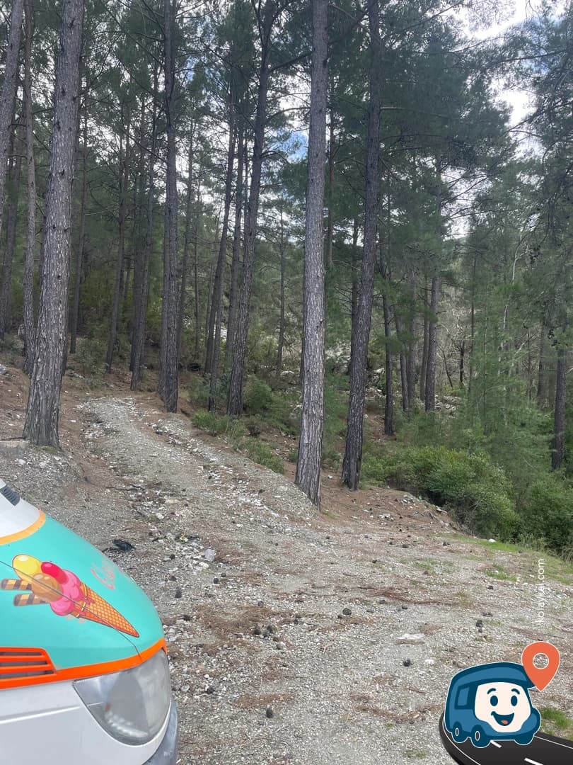 Vahşi Sokak - Alanya, Antalya, foto 3