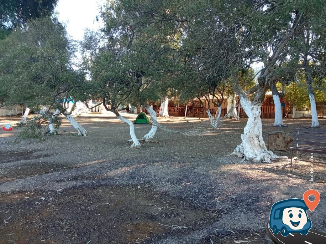 Ceri Camping and Restaurant - Milas, Muğla, foto 5