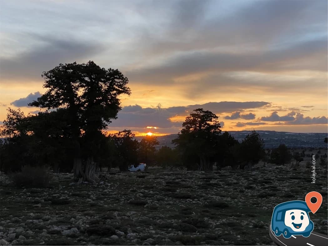 Yaşlı Ağaçlar Arasında Bir Nokta - Erdemli, Mersin, foto 1