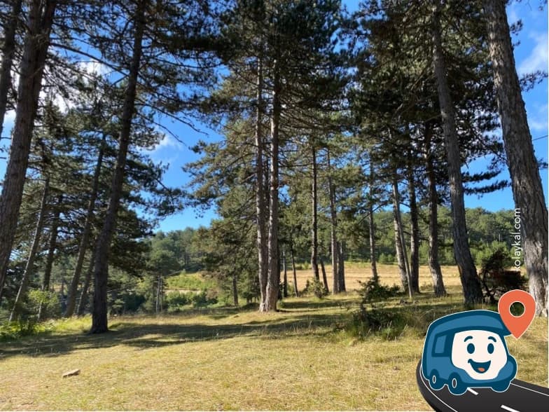 Yeşil Kamp Alanı - Durağan, Sinop, foto 1