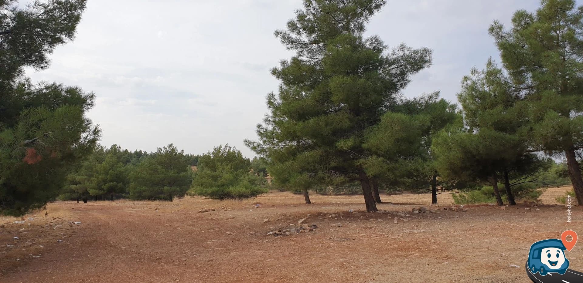 Pine Grove Vahşi Kamp Alanı - Haliliye, Şanlıurfa, foto 7