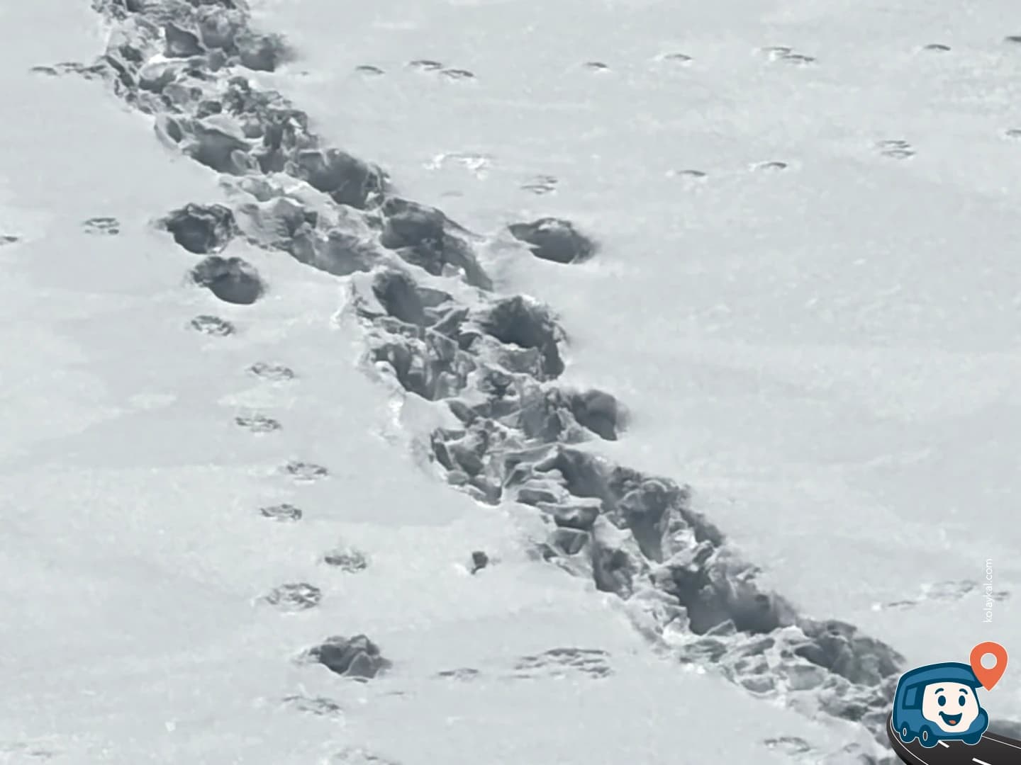 Şeytan Kalesi Vahşi Kamp Alanı - Çıldır, Ardahan, foto 3