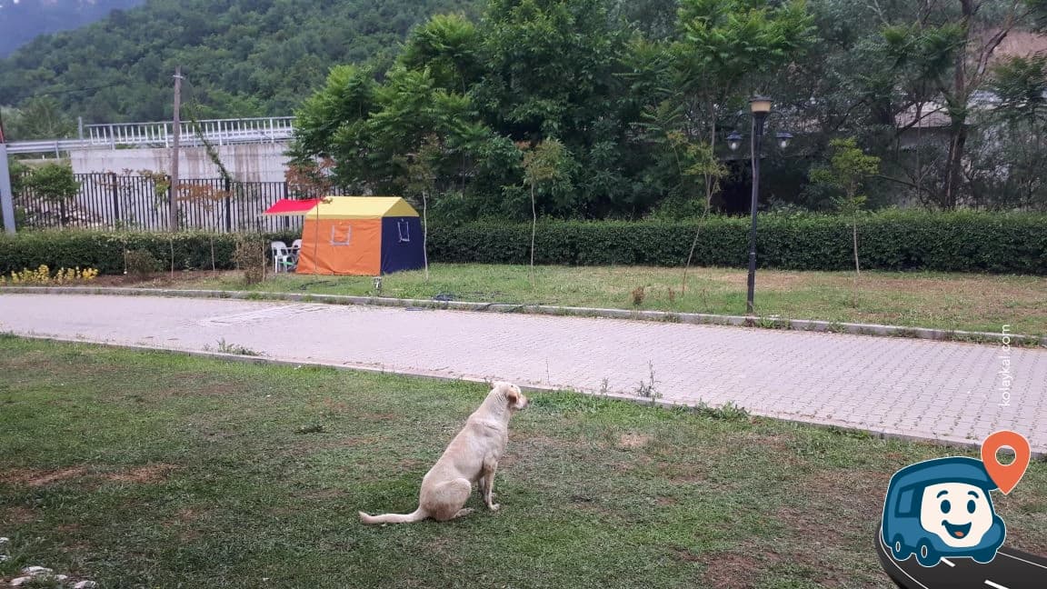 Misi Yaşam Kurulu Kamp Alanı - Ni̇lüfer, Bursa, foto 4