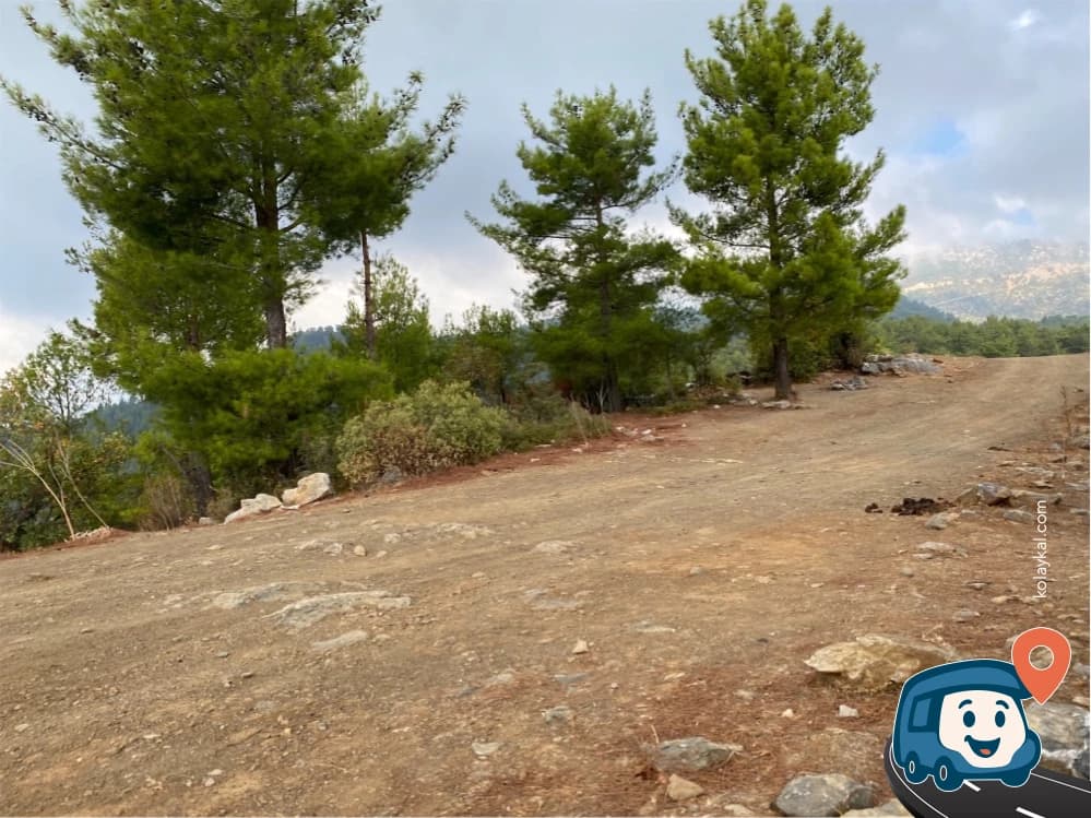 Anamur Ormanında Patika Kenarı Vahşi Kamp - Mersin, foto 1