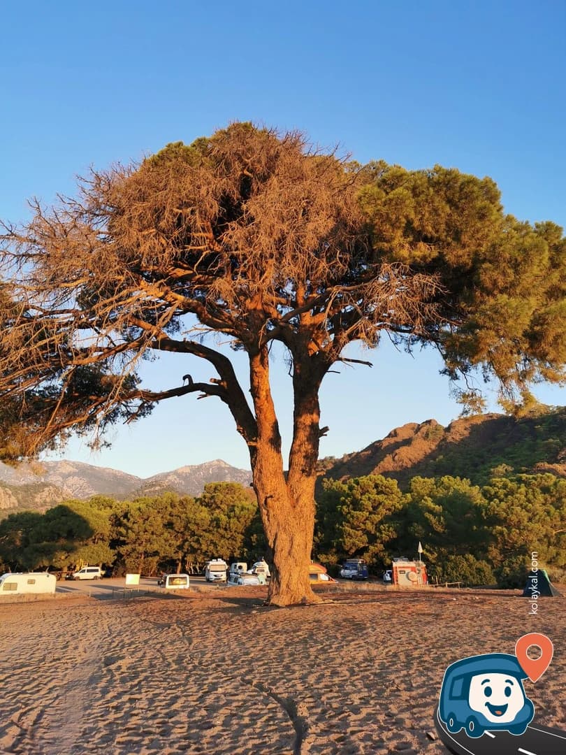 Engin Pansiyon ve Kamp Alanı - Kemer, Antalya, foto 3