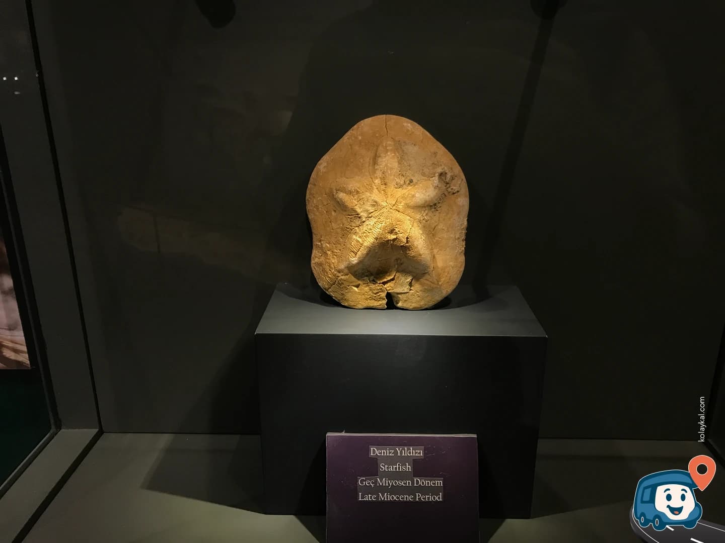 Kırşehir Müzesi - Kırşehir Merkez, foto 6