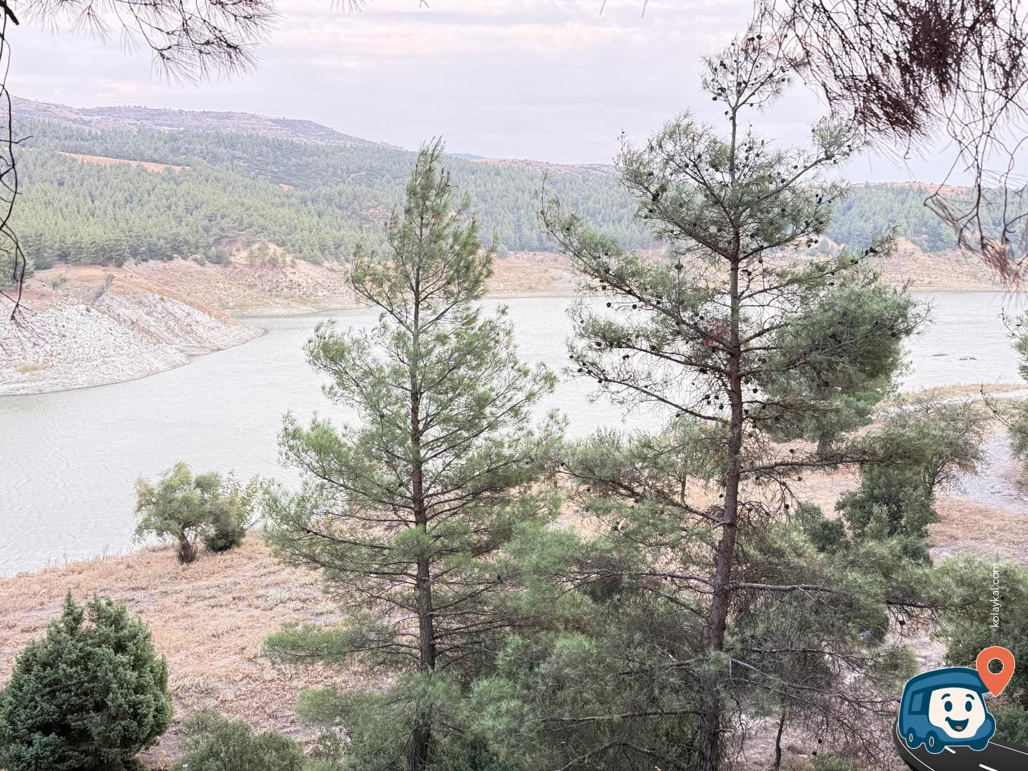 Gölü Kenarındaki Çam Ağaçları - Buldan, Denizli, foto 1