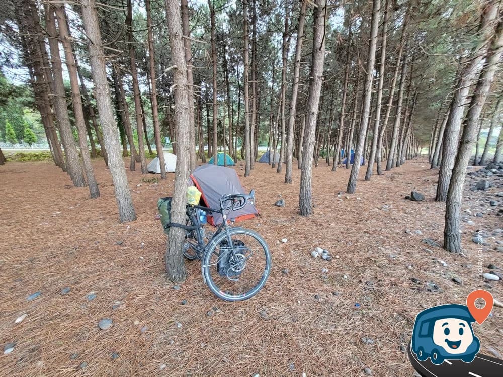 Çavuşlu Çamlık Kamp ve Mesire Alanı - Görele, Giresun, foto 1