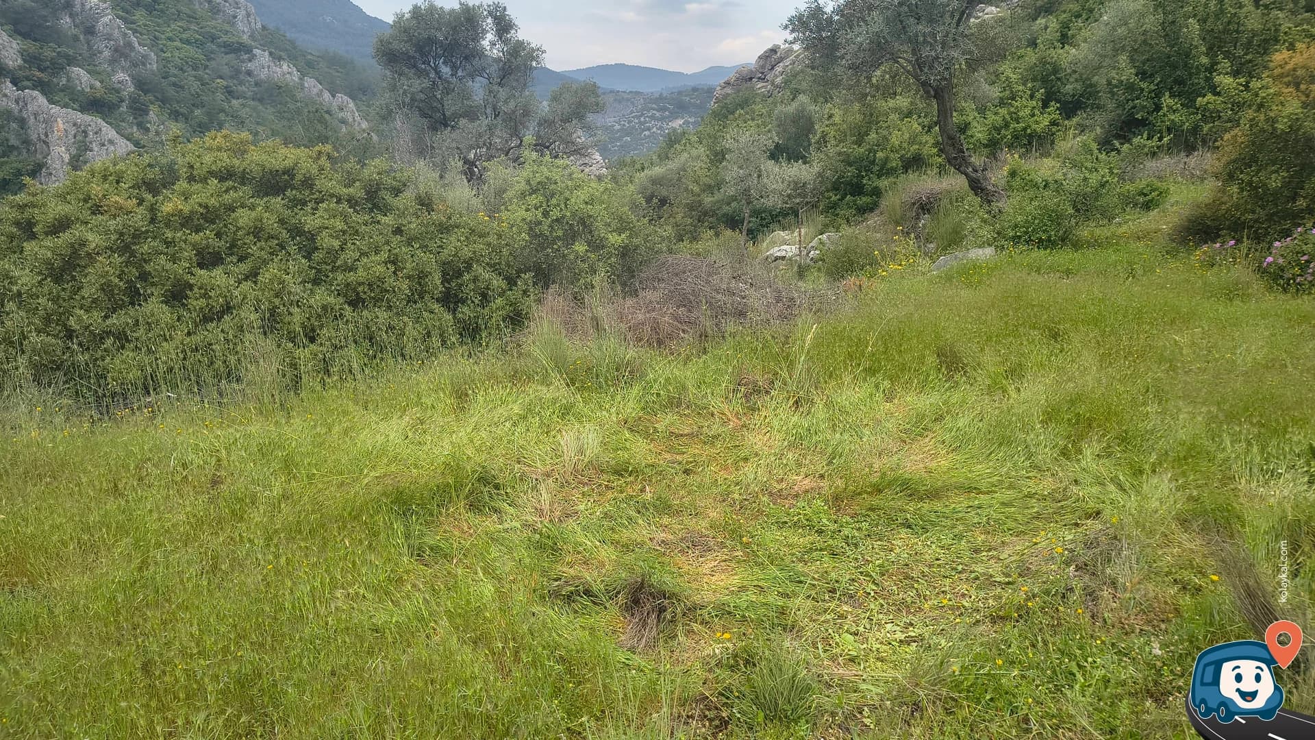 Vahşi Kamp Alanı - Milas, Muğla, foto 1