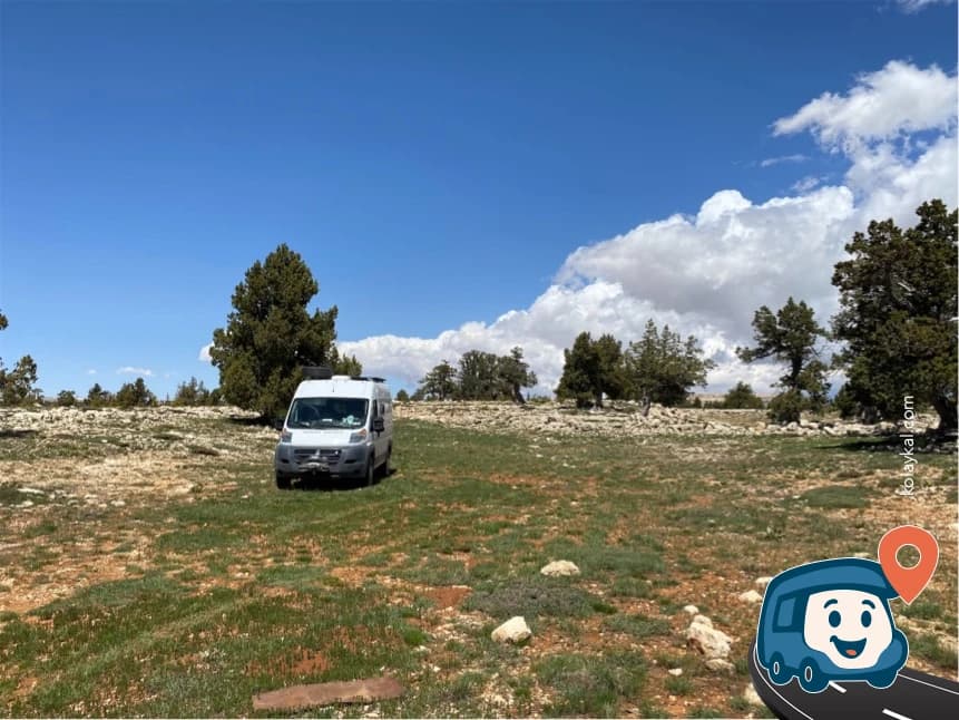 Yaşlı Ağaçlar Arasında Bir Nokta - Erdemli, Mersin, foto 3
