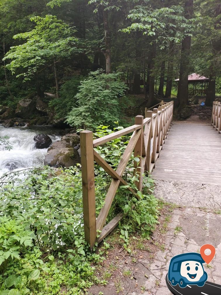 Manastır Yakınında Rampa Olmayan Vahşi Kamp - Maçka, Trabzon, foto 2