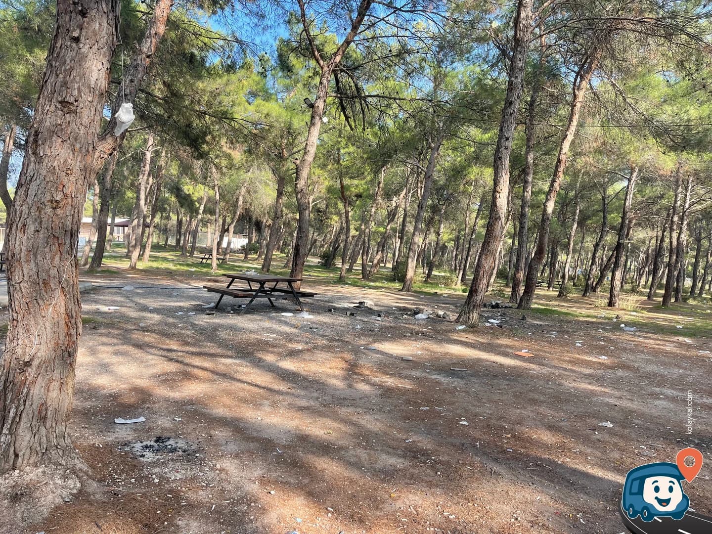 Sarnıç Piknik Alanı - Gaziemir, İzmir, foto 1