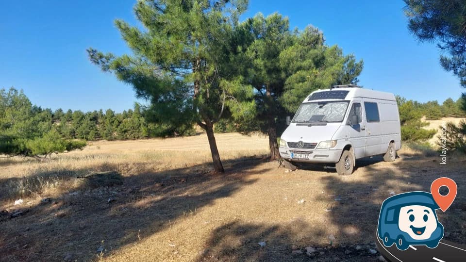 Pine Grove Vahşi Kamp Alanı - Haliliye, Şanlıurfa, foto 9