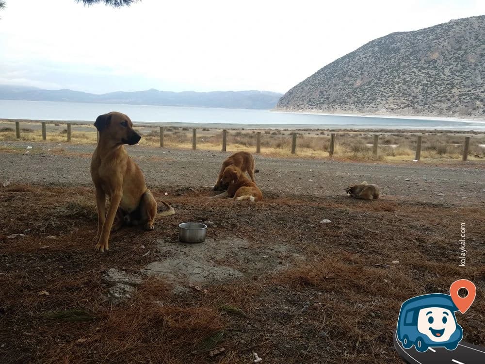 Sıra Çamlar - Yeşilova, Burdur, foto 5