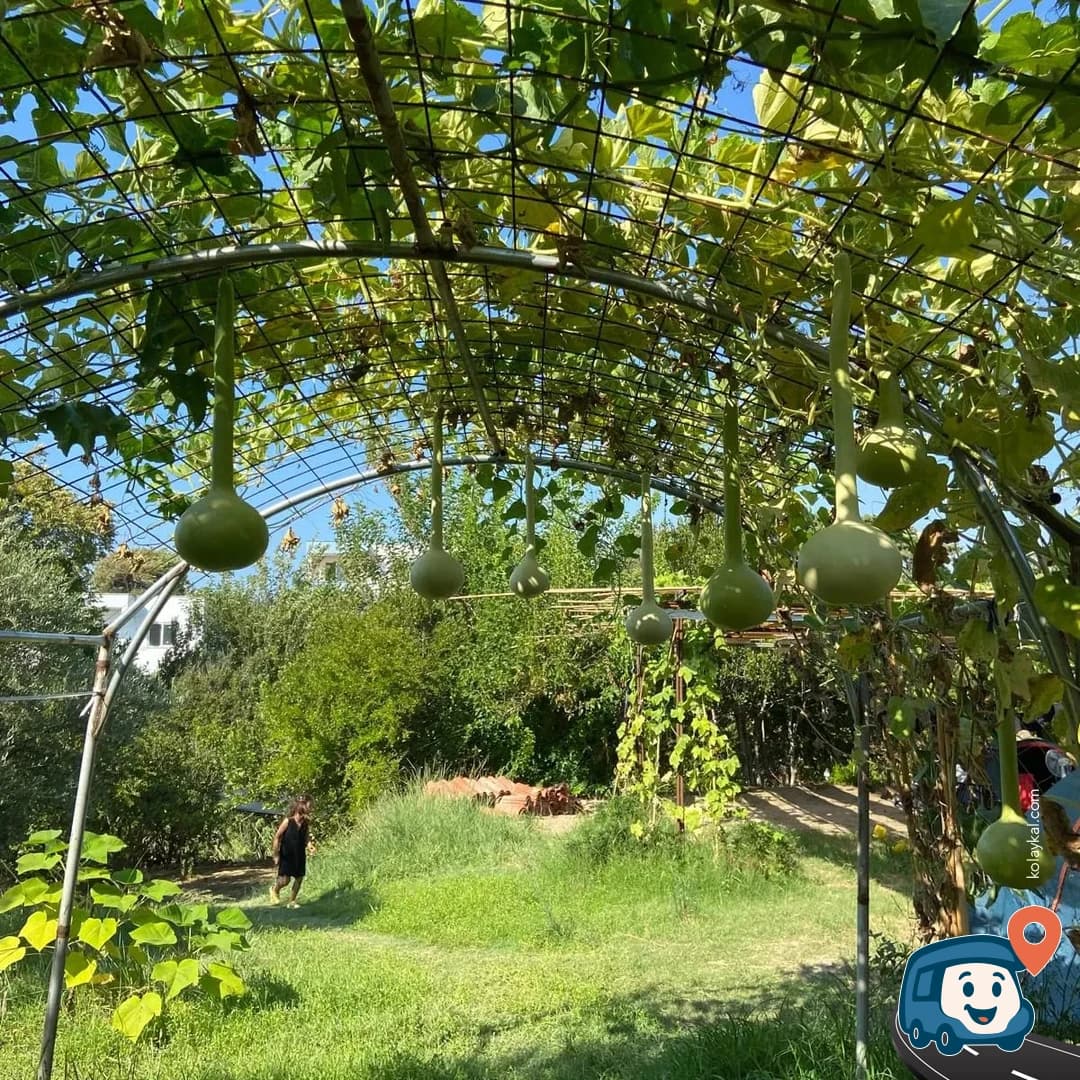 Arsuz Yeşil Kamp - Hatay, foto 2