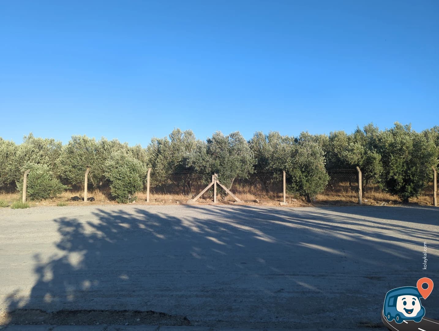 Mezarlık Yanında Vahşi Kamp Alanı - Bergama, İzmir, foto 2