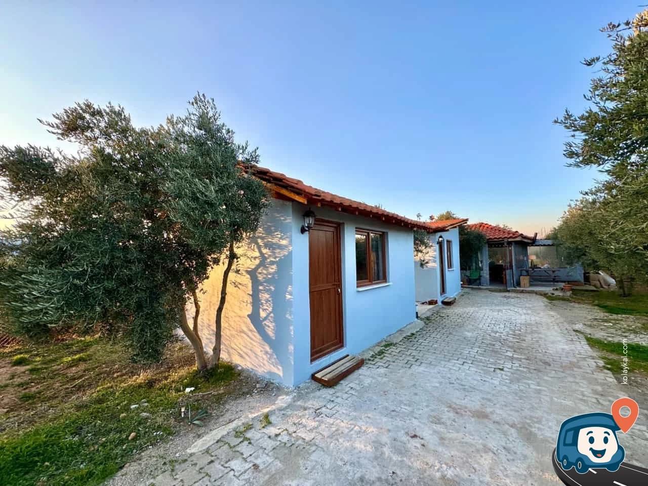 Olive Garden Kamp Alanı - Karacasu, Aydın, foto 1