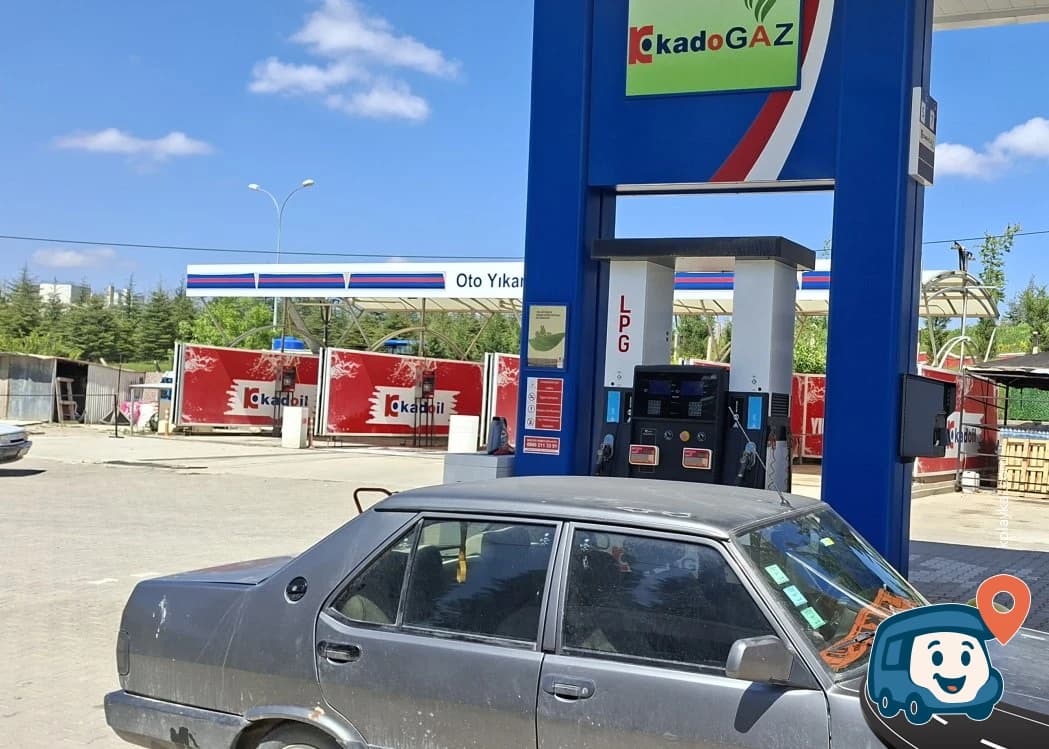 Söğüt Servis Alanı - Bilecik, foto 1