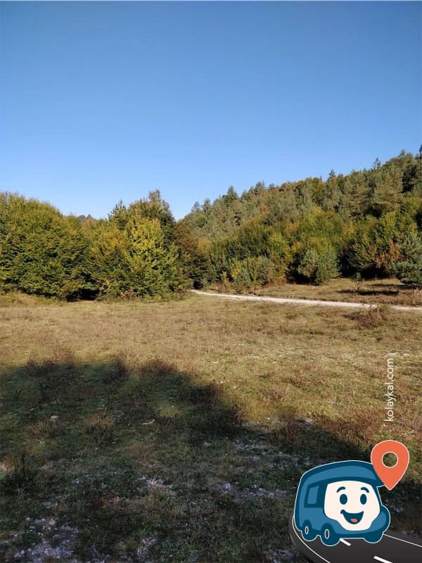 Dere Kenarı Düz Çimlik Alan - Bolu Merkez, Bolu, foto 4
