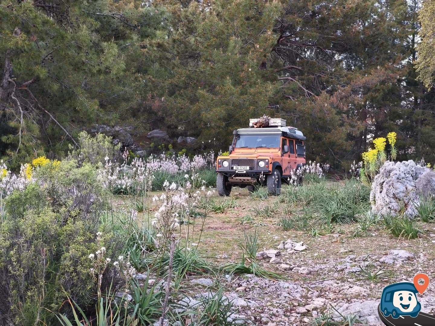 Orman Vahşi Kampı - Ortaca, Muğla, foto 1