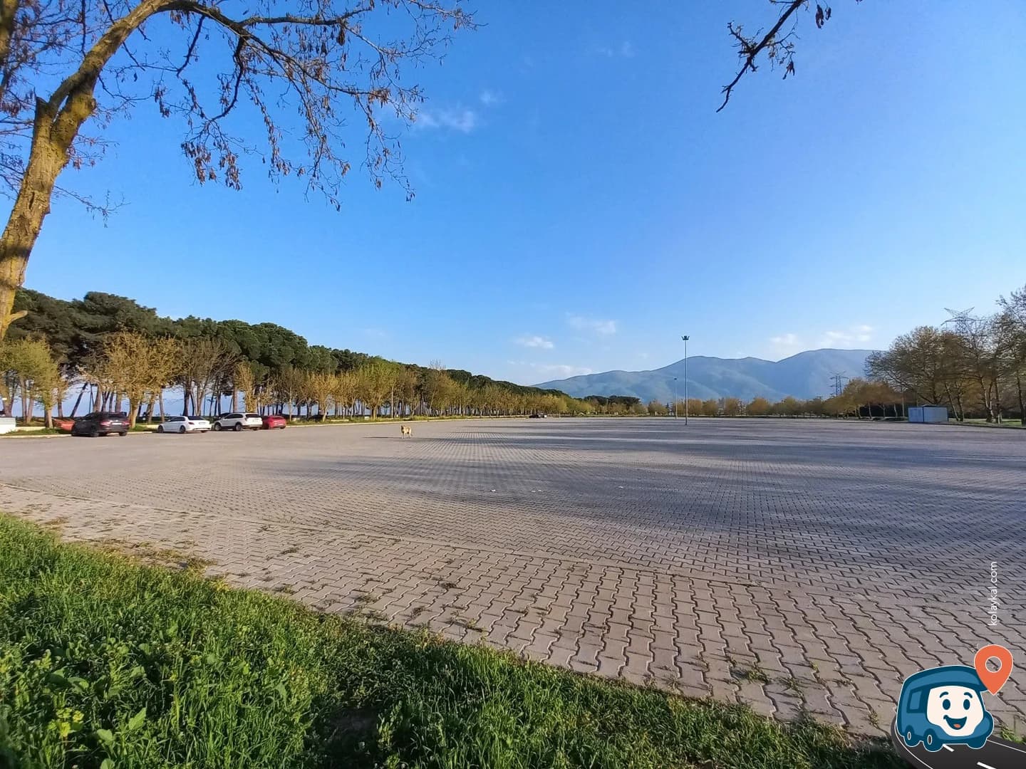 İznik Gölü Kenarı Vahşi Kamp Alanı - Orhangazi̇, Bursa, foto 6