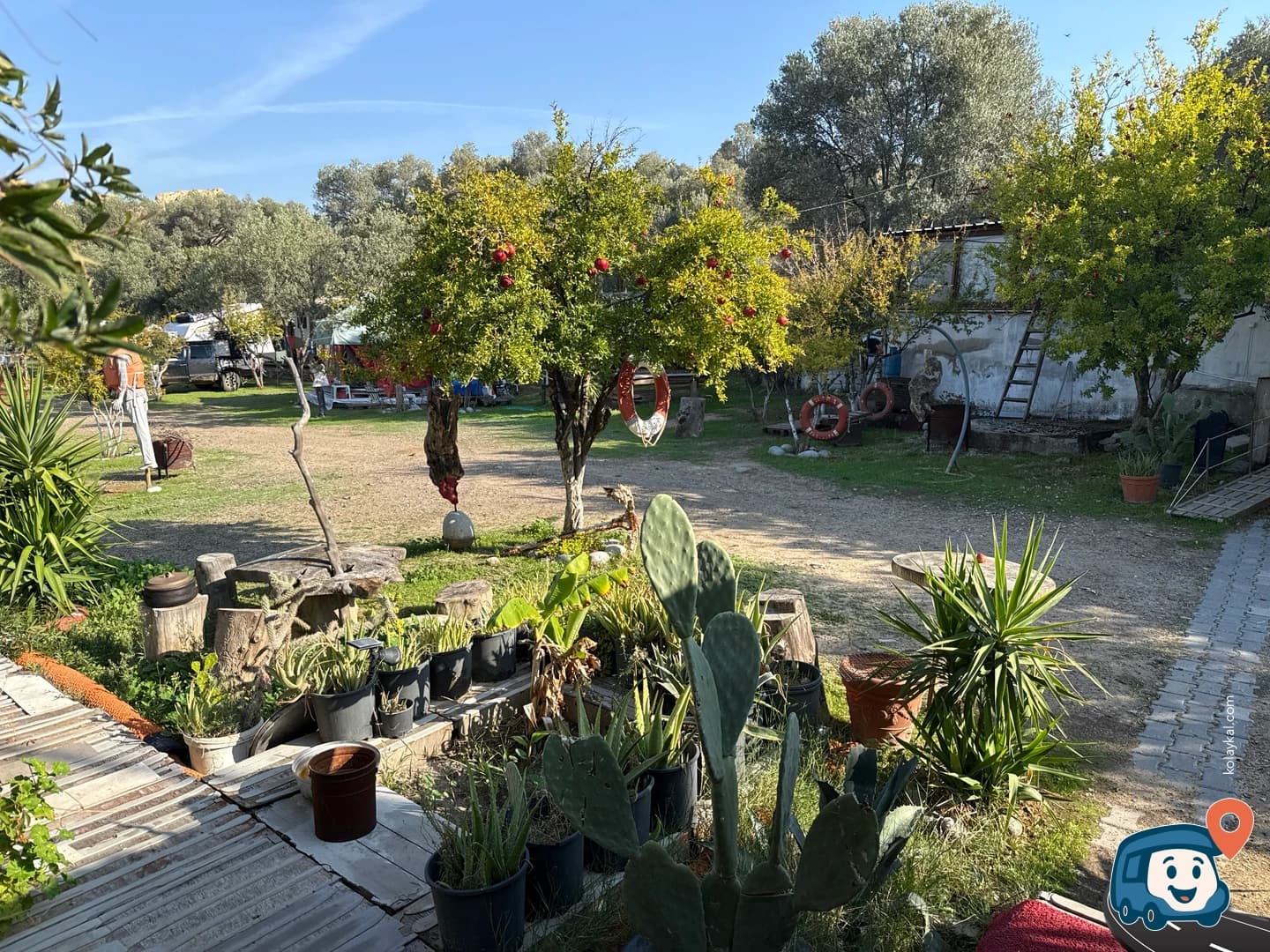 Double Cc Wood Camp - Foça, İzmir, foto 1