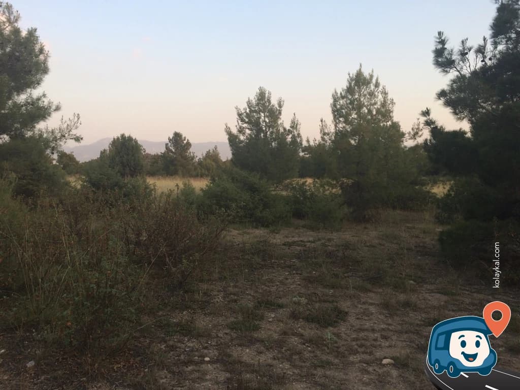 Dağ Üstü Sakin Vahşi Kamp Noktası - Çardak, Denizli, foto 1