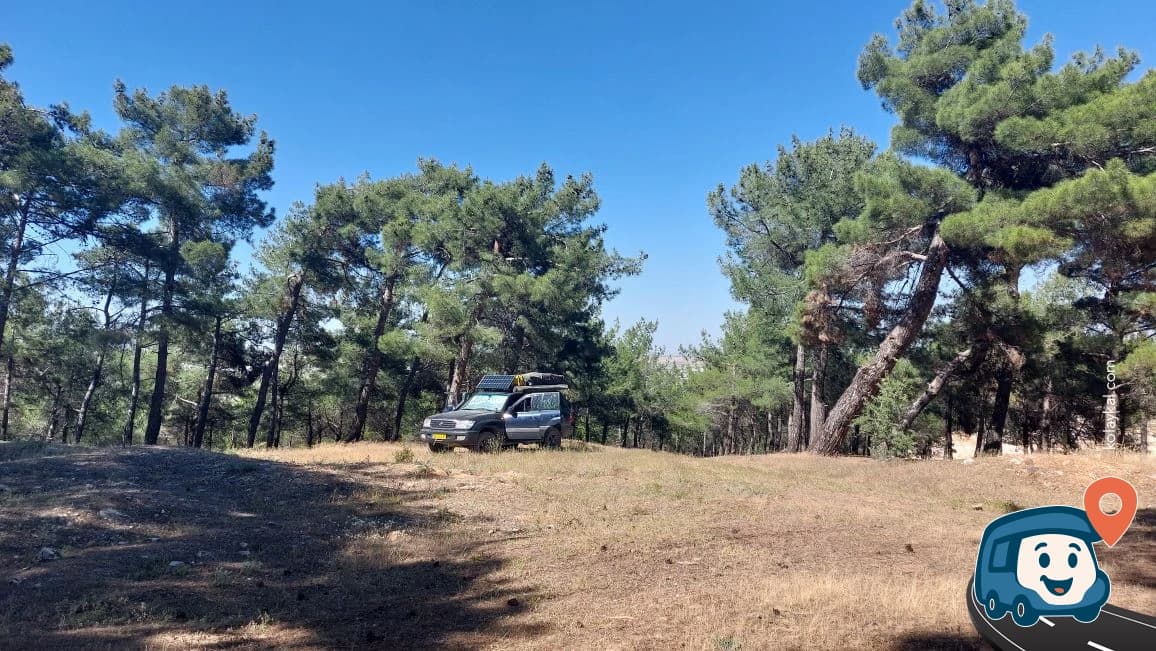 Ormanlık Tepeler Vahşi Kamp - Şehitkamil, Gaziantep, foto 2